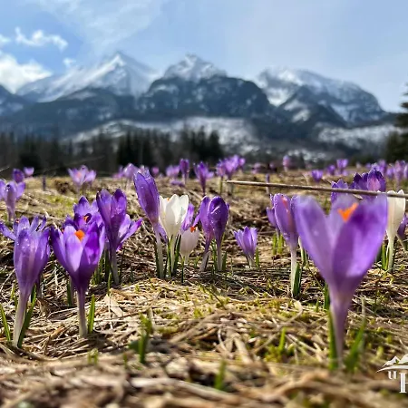 U Hani - Sauna, Balia Z Hydromasazem *